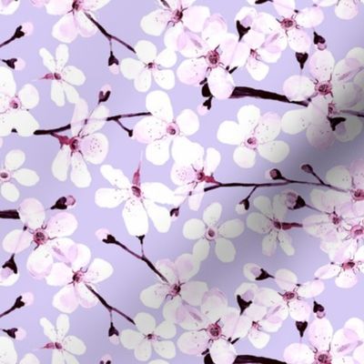 Cherry Blossom, spring pastel