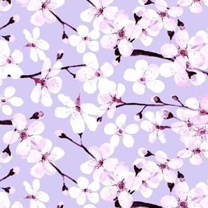 Cherry Blossom, spring pastel