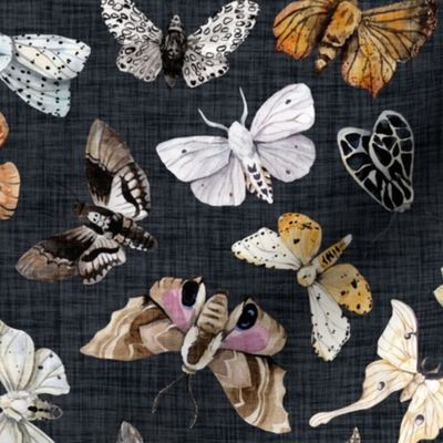 Butterflies and Moths // Navy Charcoal Linen