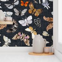 Butterflies and Moths // Navy Charcoal Linen