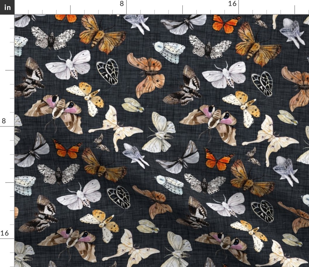 Butterflies and Moths // Navy Charcoal Linen