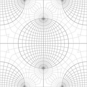 09136720 : stereographic net 4m