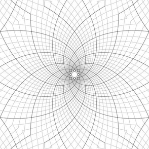 09136721 : logarithmic spiral graph 6m