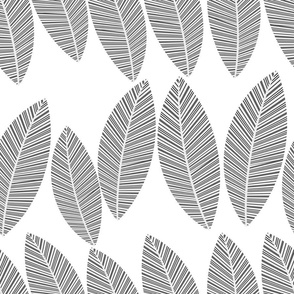 leaf-row-greyscale bw