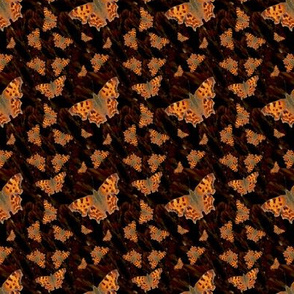 Animal Print orange Moth spooktacular