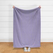 gingham 1in purple