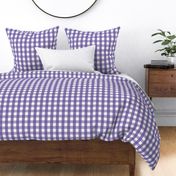 gingham 1in purple