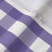 gingham 1in purple