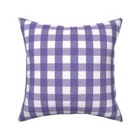 gingham 1in purple