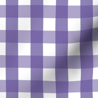 gingham 1in purple