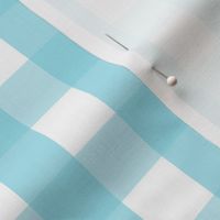 gingham 1in sky blue