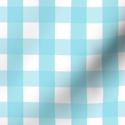 gingham 1in sky blue