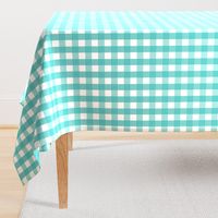 gingham 1in teal