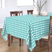 gingham 1in teal