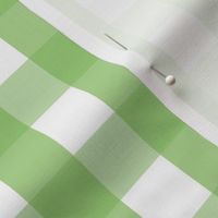 gingham 1in apple green