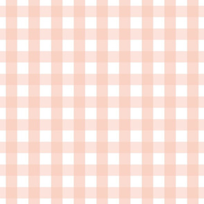 gingham 1in blush pink