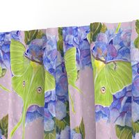 Luna Moths and Hydrangeas