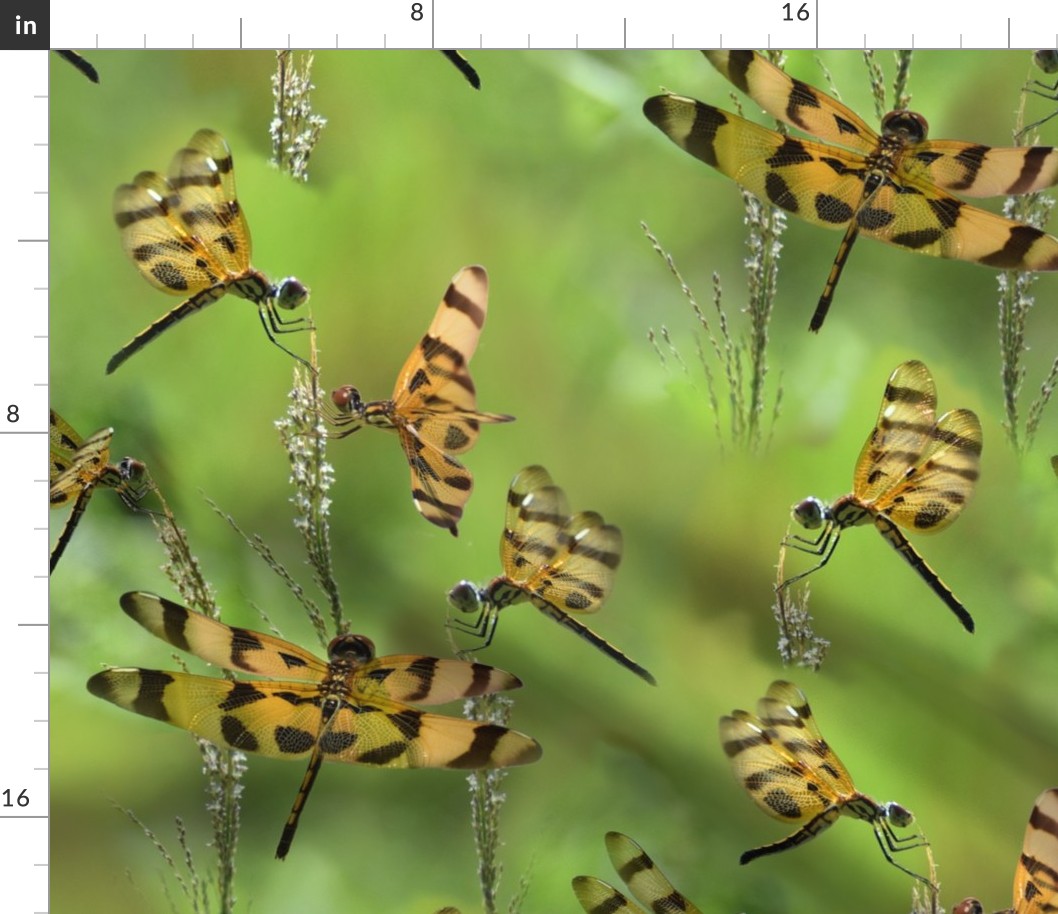 Halloween Pennant Dragonfly Montage
