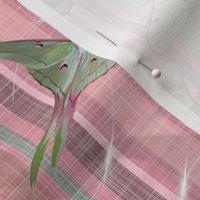 Silk Spinners - Moths | Pink + Green