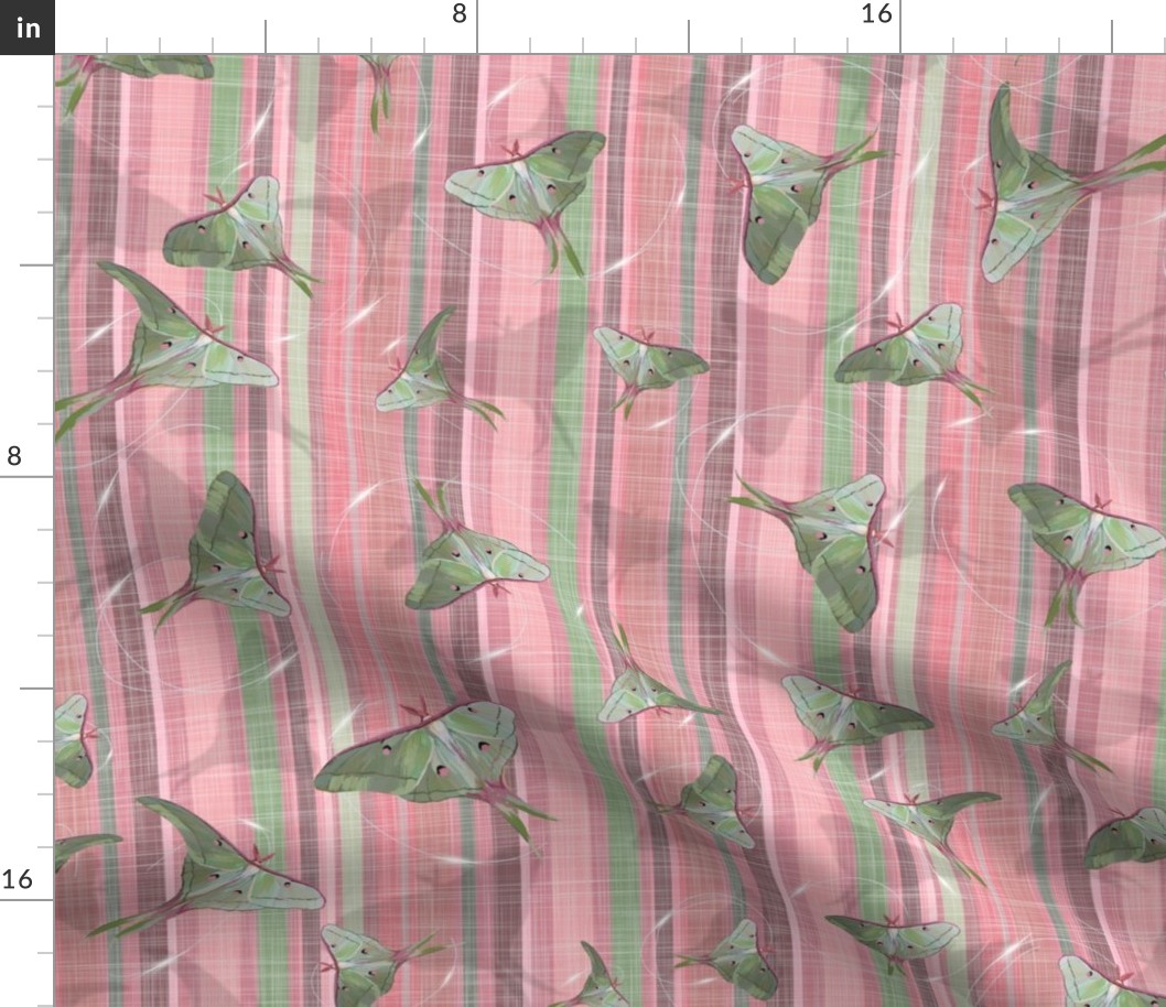 Silk Spinners - Moths | Pink + Green