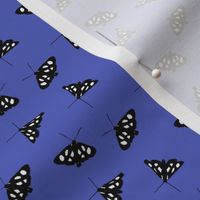 White Spotted Sable Moth on Iris Blue