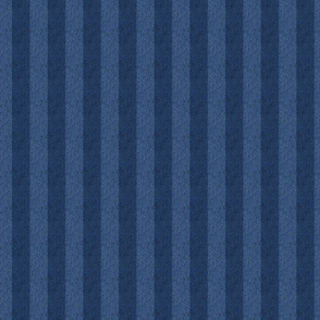 1 inch striped denim