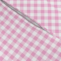 Stockholm Gingham sorbet