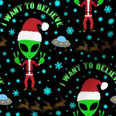 I Want to Believe in Santa