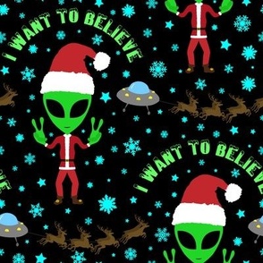 I Want to Believe in Santa