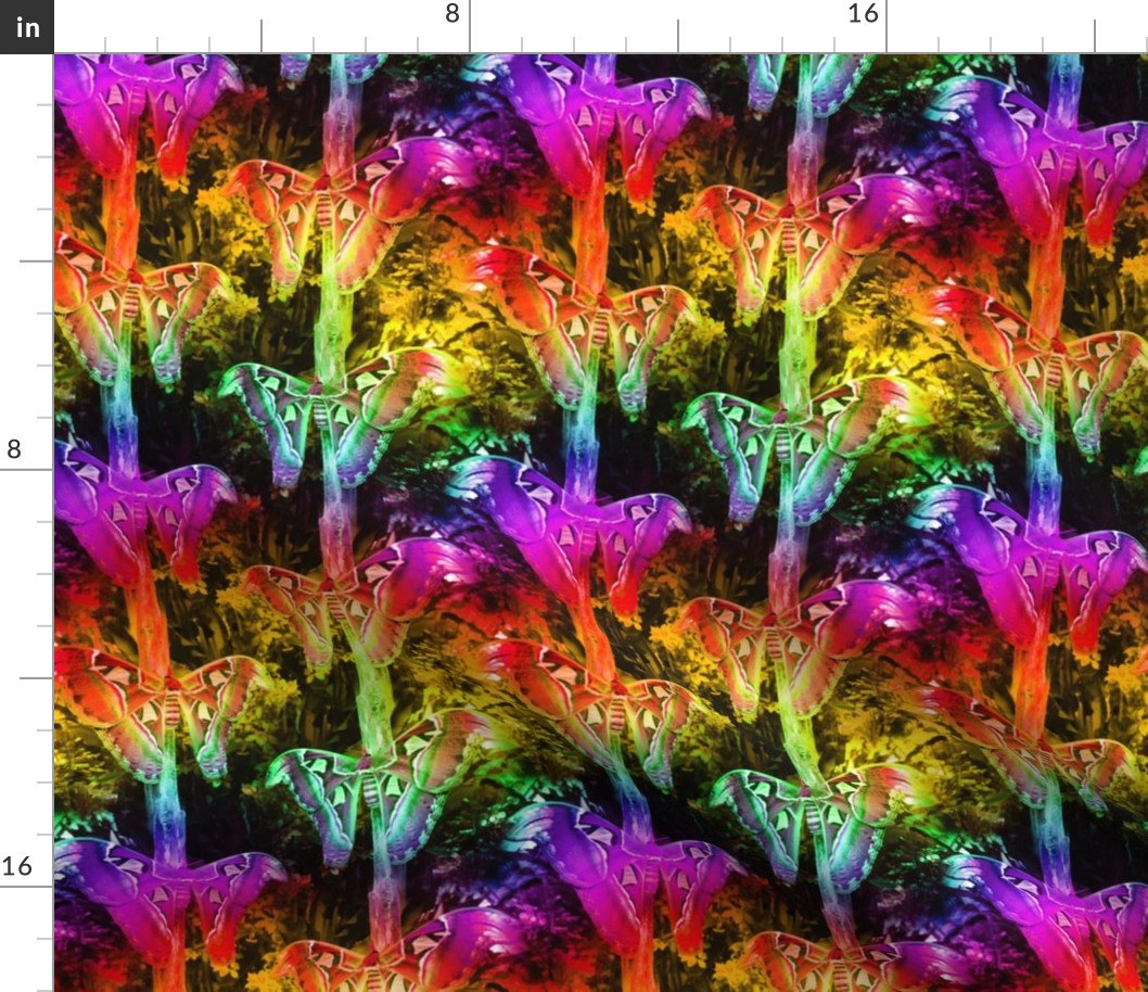 medium moths rainbow forest 3 butterfly multicolor fairy paysmage