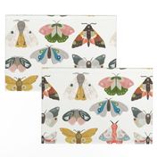 Moths on Parade