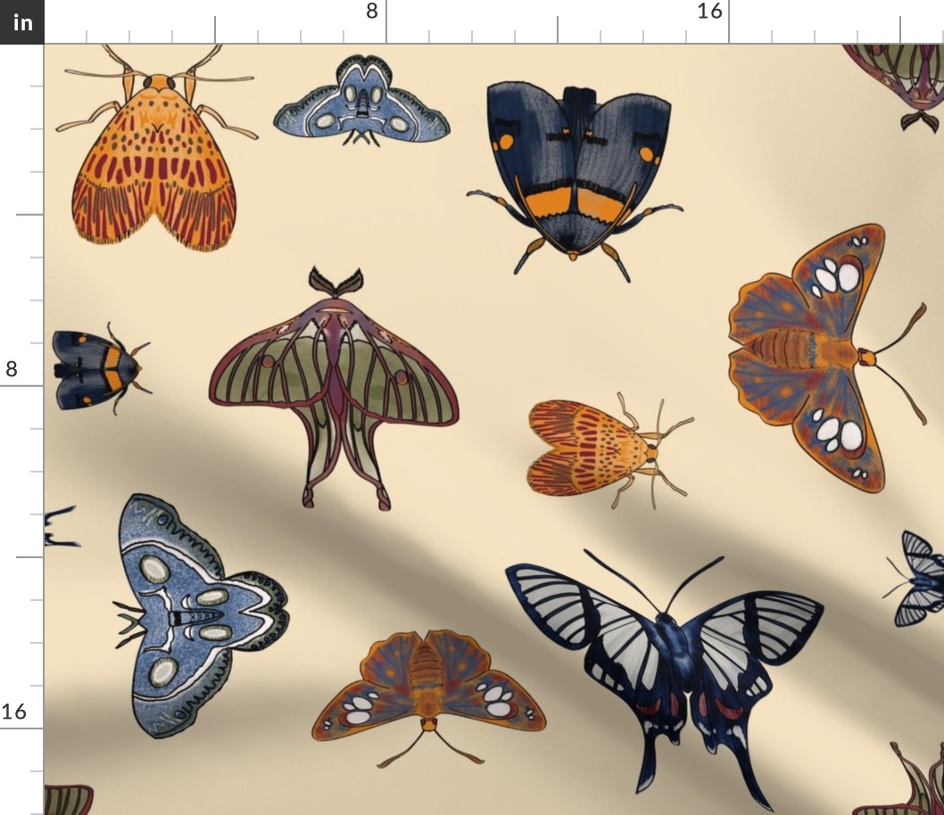 Hand drawn moths