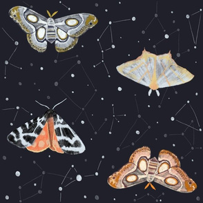 Midnight Sky Moths - Hand drawn moths against a night time sky filled with constellations and stars