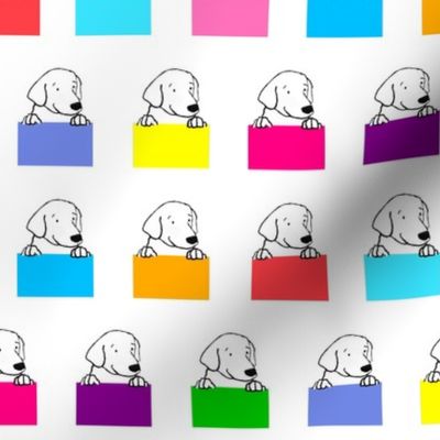 Dogs Peeking out from behind a rainbow of brightly colored cubes