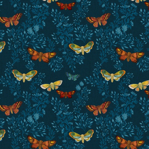 Night Moths {Blue}