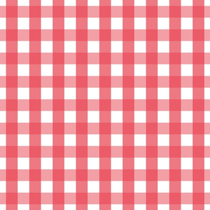 gingham 1in bold coral