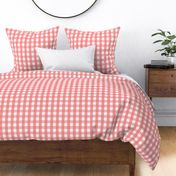 gingham 1in coral