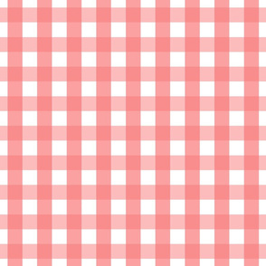 gingham 1in coral