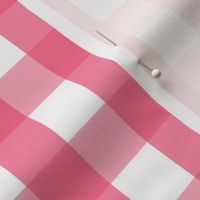 gingham 1in hot pink