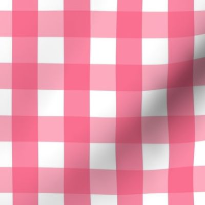 gingham 1in hot pink