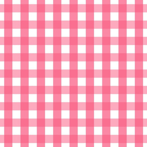 gingham 1in hot pink