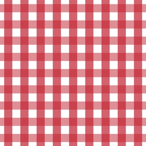 gingham 1in red