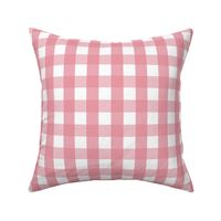 gingham 1in berry cream