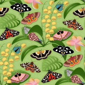 Colorful Moths and Flora