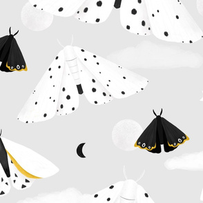 Black & White Moths