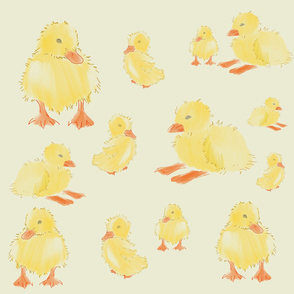 Duckies