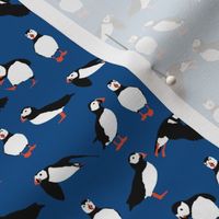 just puffins blue small