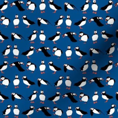 just puffins blue small