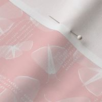 Delicate moth lines - rose quartz