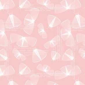 Delicate moth lines - rose quartz